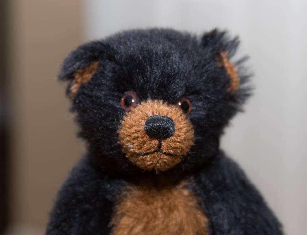 Image of "Smokey" mohair Teddy Bear 