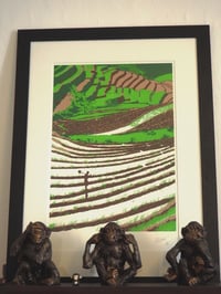 Image 3 of Rizières