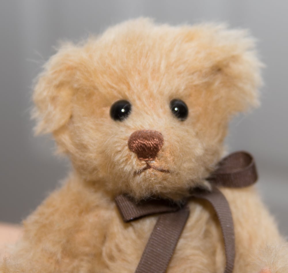 Image of "Honey" Mohair Teddy Bear