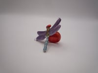 Image 3 of Anisoptera Ring