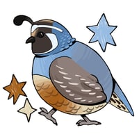 California Quail Sticker 