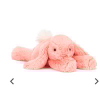 Smudge Apricot Rabbit