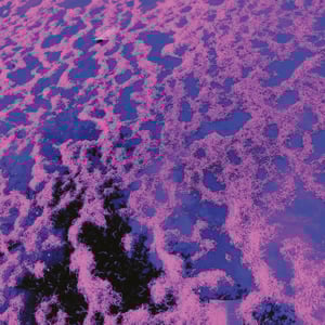 Image of JOHN DWYER "Gong Splat Sessions" 2xLP