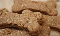 Dog treats