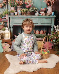 Image 5 of PRE- ORDER  - Dino Eggs - ORGANIC BABY/CHILDRENS CLOTHING