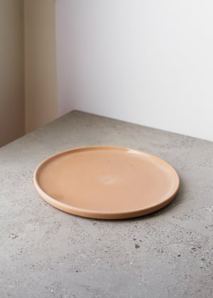 Image of SAMPLE: Pink plate 