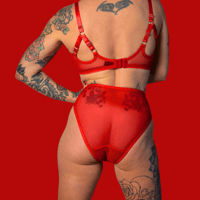 Image 3 of The FLOOZY knickers in red mesh