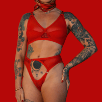 Image 3 of The FLOOZY knickers in red mesh