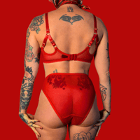 Image 5 of The FLOOZY knickers in red mesh