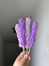 Image 2 of Lavender