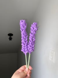Image 3 of Lavender