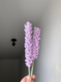 Image 4 of Lavender