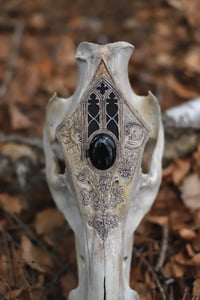 Image 4 of In Tenebris Lucet -Teschio di Cinghiale