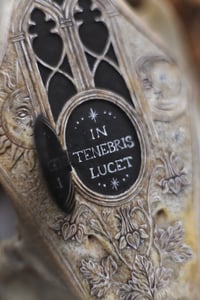 Image 5 of In Tenebris Lucet -Teschio di Cinghiale