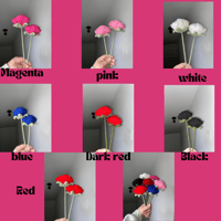 Image 2 of Roses