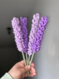 Image 1 of Lavender