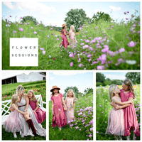 Image 1 of 2025 WILDFLOWER Mini Sessions ~ $225