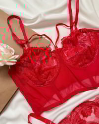 Image 3 of Scarlet Lingerie Set
