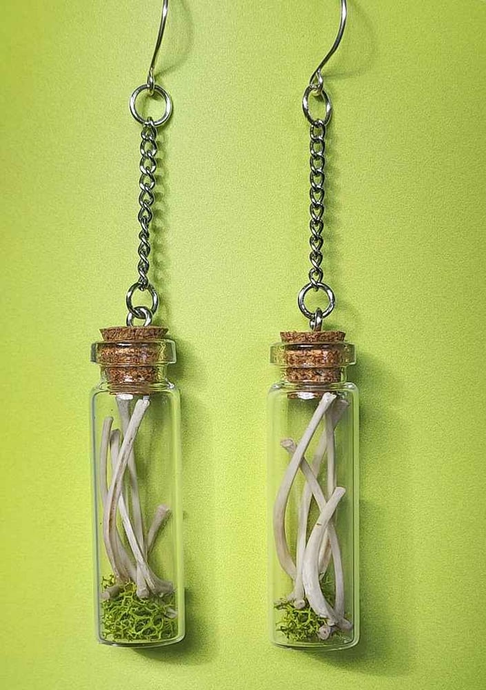 Image of mossy squirrel bone jar earrings 