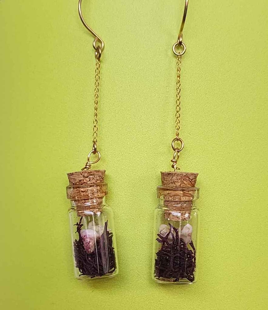 Image of mossy raccoon teeth earrings