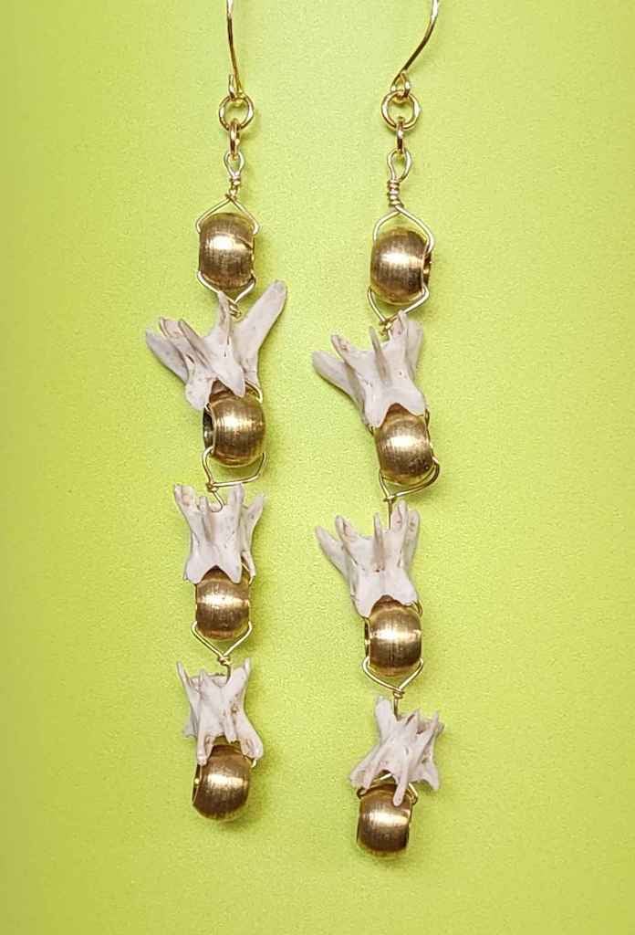 Image of gold squirrel vertebrae earrings