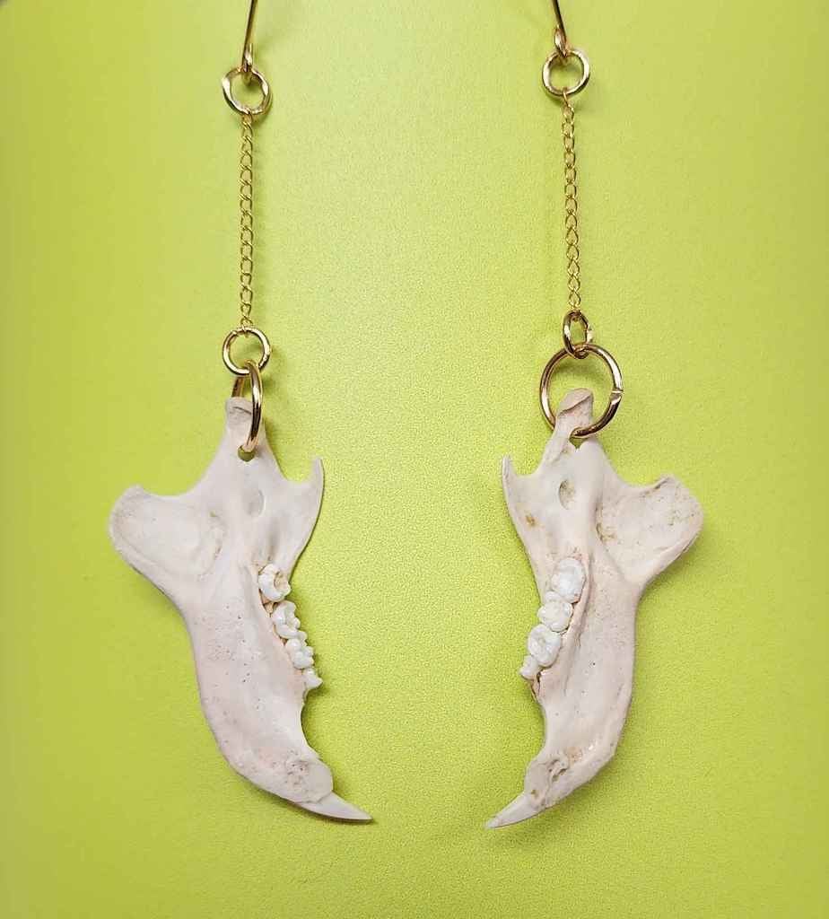 Image of squirrel jawbone earrings