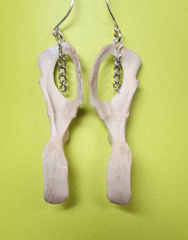 Image of squirrel hip bone earrings