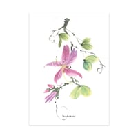 Image 1 of Postkaart bauhinia
