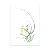 Image 1 of Postkaart orchidee 