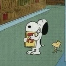 Image of RECOGIDA EN TIENDA