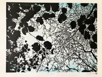 Image 1 of Shinrin-yoku I (version 3)