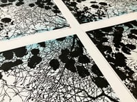 Image 5 of Shinrin-yoku I (version 3)