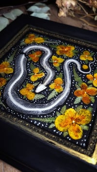 Image 2 of Snake Skeleton Wall Frame - Orange Wildflowers