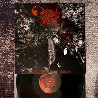 Moonshrine - Hallucinatory Forest Rituals LP