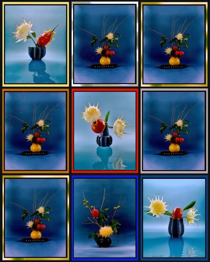 Image of Ikabana Evolution Grid 