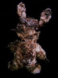 Image 5 of  Misfortunate Rabbit Doll 