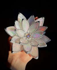 Image 1 of iridescent white succulent 