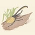 Hercules Beetle Magnet Image 2