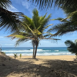 Image of LEVEL UP 2025 - PUERTO RICO RETREAT: Mar 21-24, '25 