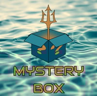 5 Coin Mystery Box