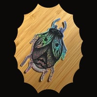 Image 1 of Little Beetle Sticker