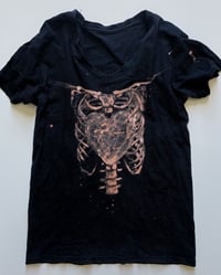 Why Hearts Have Cages Top