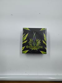 Image 1 of EXOTIC GENTIX 6 PK SPLAT 