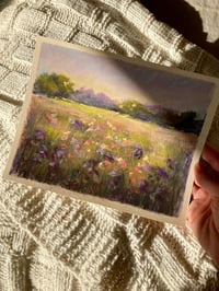 The Iris Meadow 