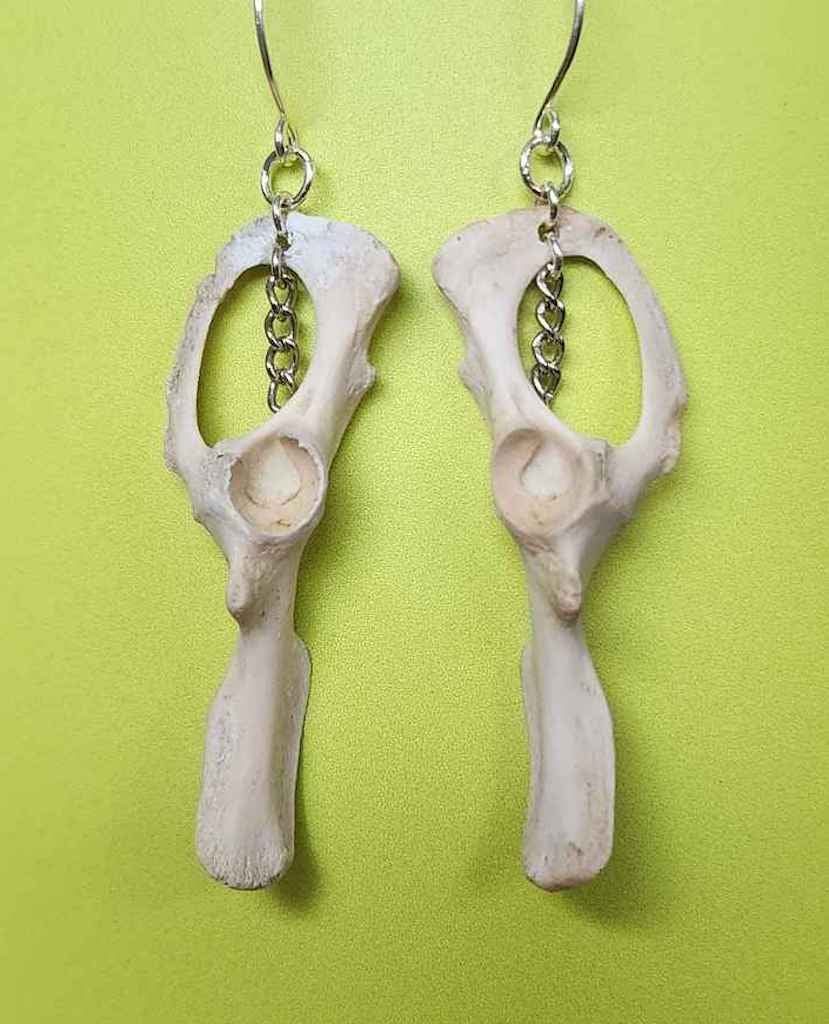 Image of squirrel hip bone earrings