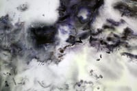 Image 3 of DiveINN