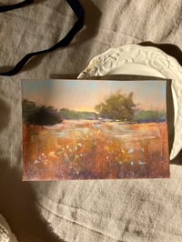 The Autumn Meadow