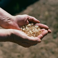 Image 1 of Sunstones & Petroglyphs at Hart Mountain: October 11-13, 2025