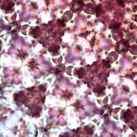 Image 6 of Chocolate Cherries Procion Dye Mix for Ice Dye