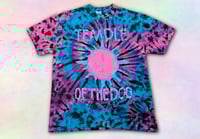 Image 1 of Temple of the Dog - Hunger Strike